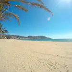Inmosantos Oasis B8